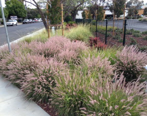 hayward-industrial-pkwy