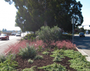 hayward-median-at-rhuus-triangle