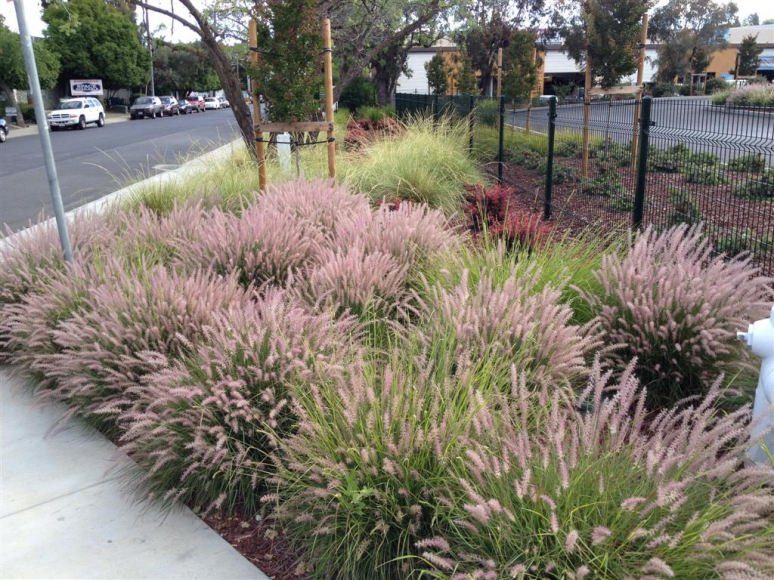 Streetscape of the Hayward Industrial Parkway in Hayward California