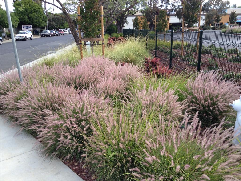 Streetscape of the Hayward Industrial Parkway in Hayward California